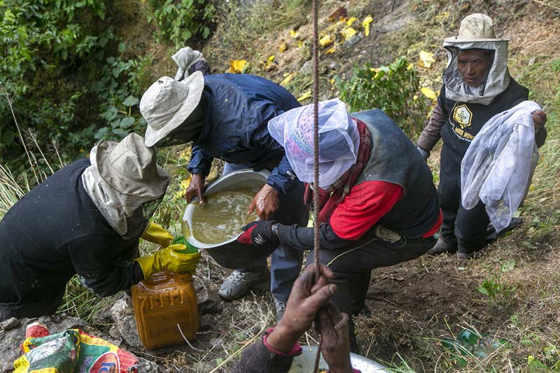 Honey production declines by 90 per cent in Jajarkot