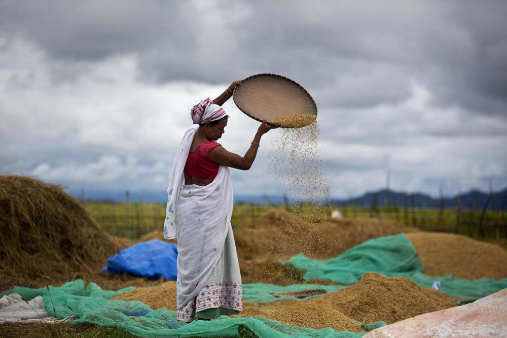 Amendment in India&#8217;s rice exports policy and rationale behind it