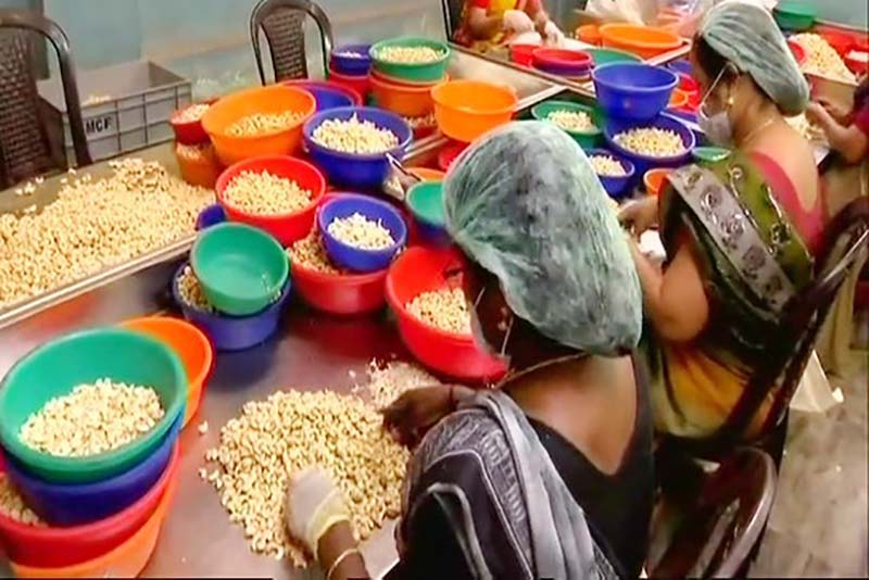 Indian cashew processors cashing in on demand, revenue to rise 15 pc: report