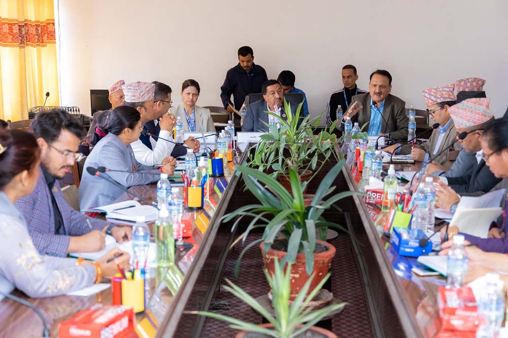 Minister Mahat apprises Finance Committee of govt&#8217;s priority in budget