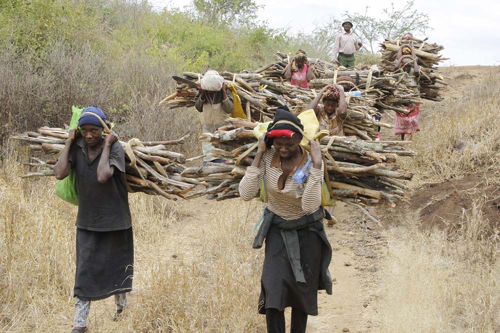 Kenya&#8217;s president lifts 6-year logging ban to create jobs