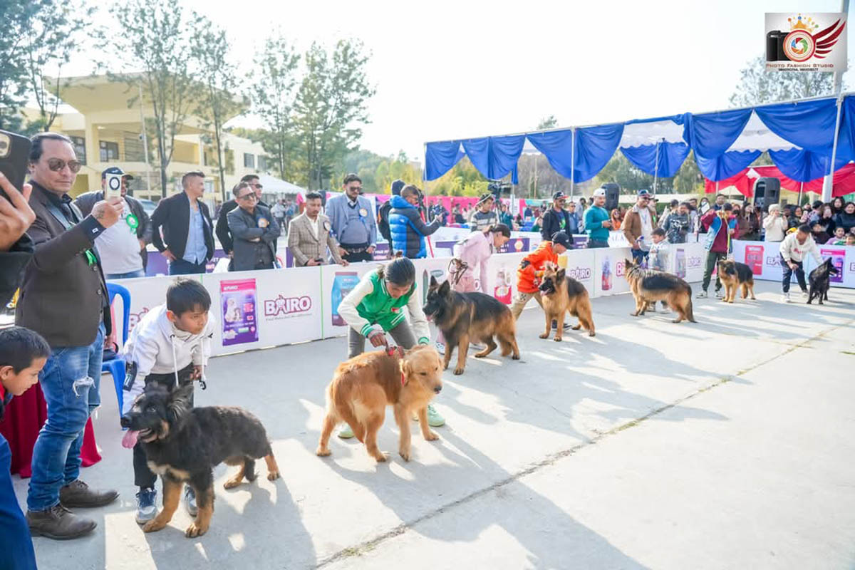 Kennel Club to host 3rd BAIRO Championship Dog Show