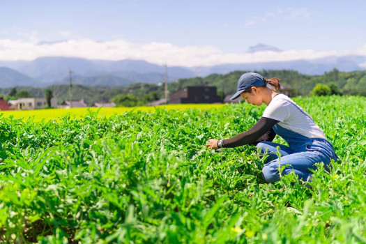 Technology can shape up agricultural system for food security: WEF