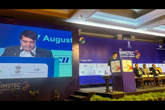 BIMSTEC Business Summit: FNCCI President proposes infrastructure development fund