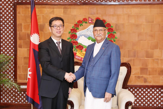 CIDCA Vice-Chair Yang calls on PM Oli