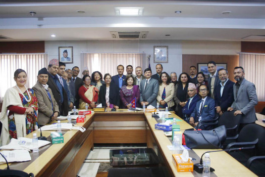 FM Deuba urges ambassadors to prioritise economic diplomacy