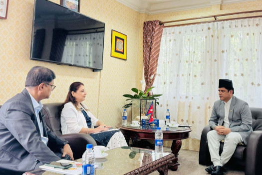 Minister Bhandari, Romania's non-resident ambassador meet 