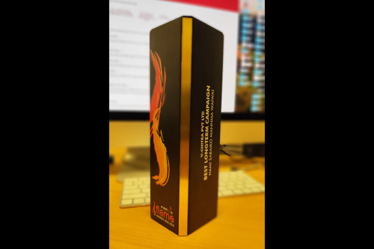 V-chitra wins gold for Best Long-Term Campaign at RMAI Flame Awards Asia 2024