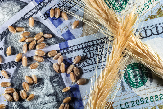 How Commodity Markets Influence Food Prices