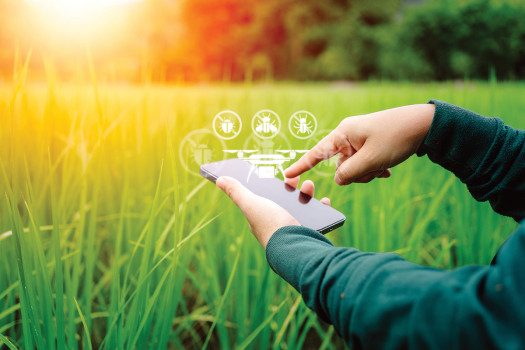 Time to Harness Technology in Nepal's Agriculture and Fmcg Sectors