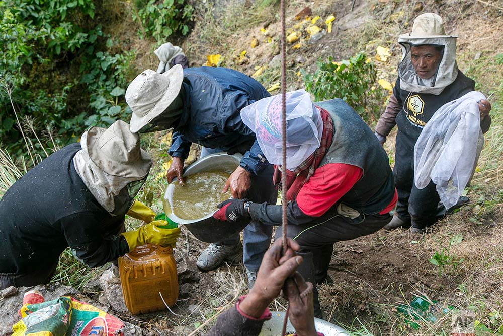 Rukum West beekeepers produce honey worth Rs 25m