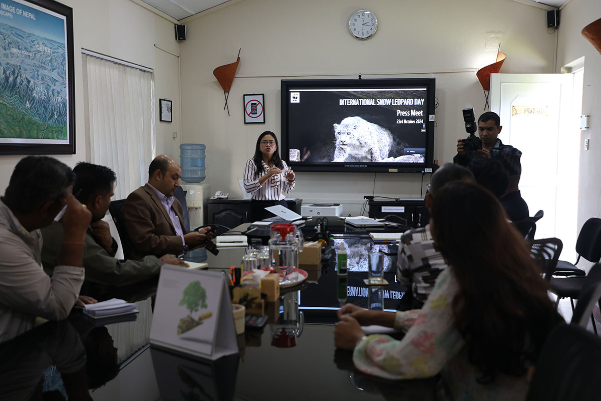 DNPWC marks International Snow Leopard Day 2024 