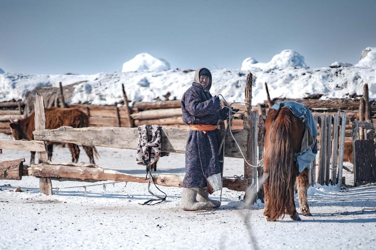 Mongolia,-Mongolian-herdsman,-Climate-Mongolia-Dzud-(2)-1718181814.jpg