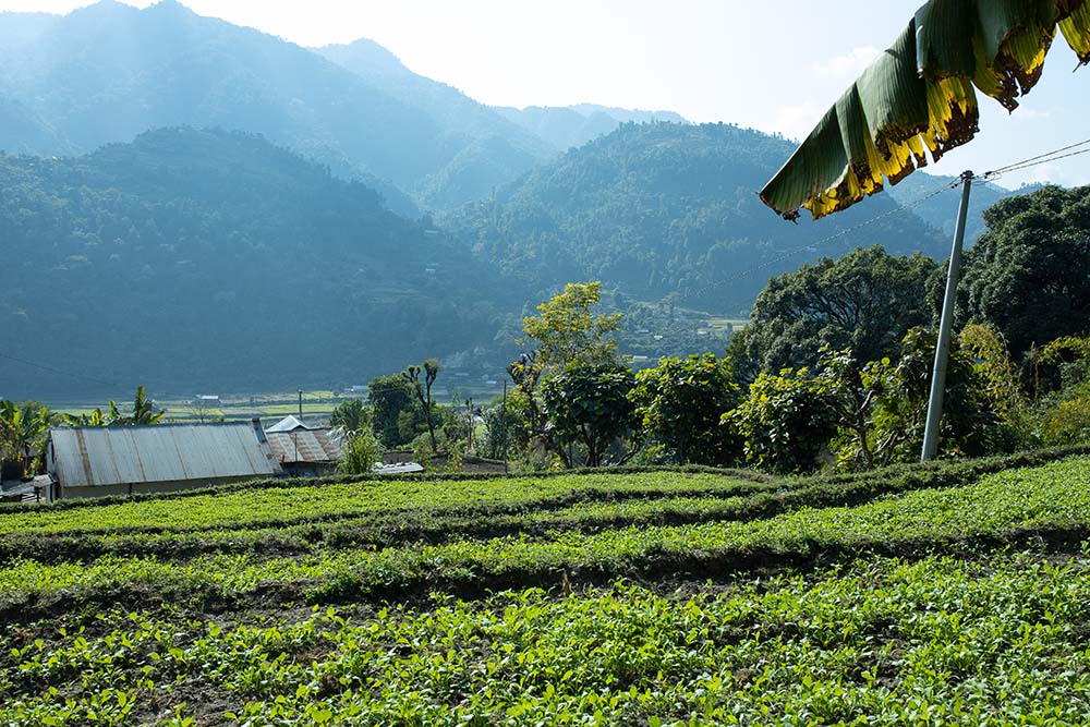 Pyutar,-Lalitpur-irrigation-plant,-WWF-Nepal-(1)-1704186614.JPG